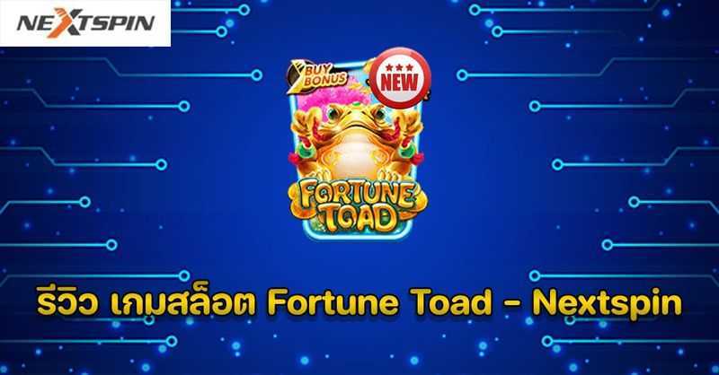 Fortune Toad