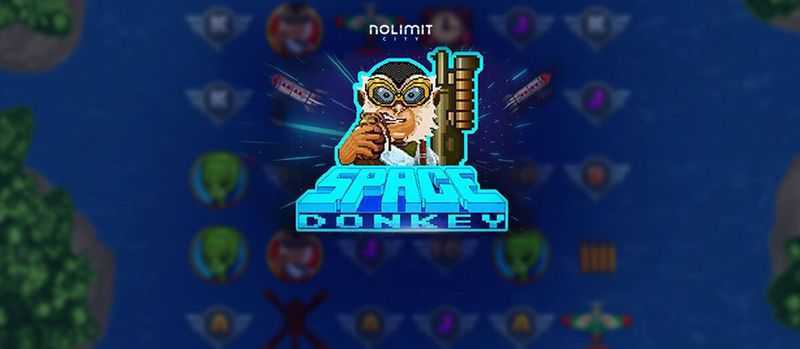 Space Donkey
