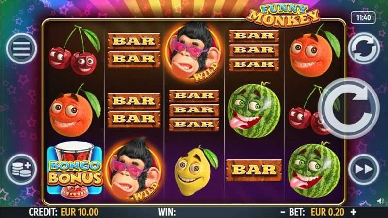 Funny Monkey