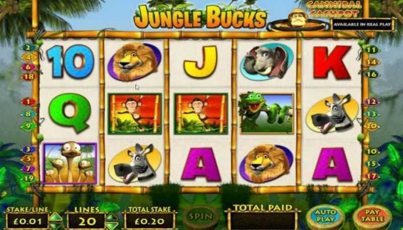 Jungle Bucks