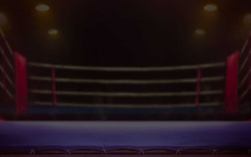 Muay Thai Champion