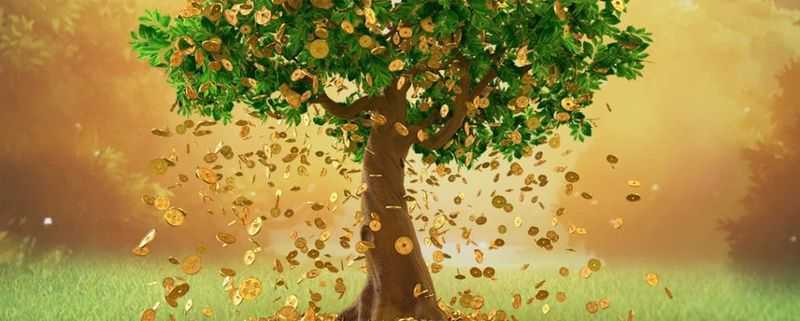 Tree of Fortune