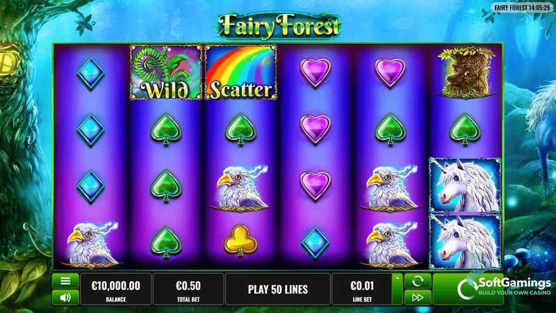 Fairy Forest