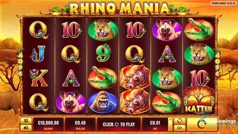 Rhino Mania