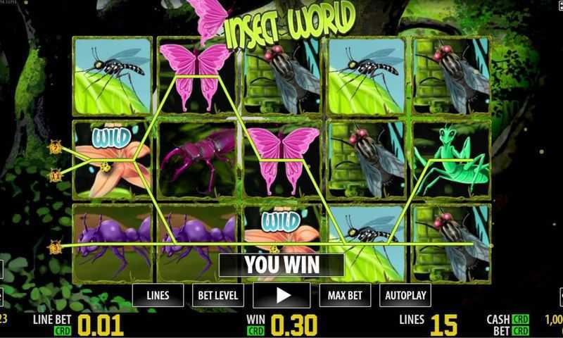 Insect World HD