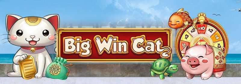 Big Win Cat Big Win Cat