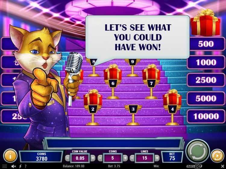 Cats and Cash