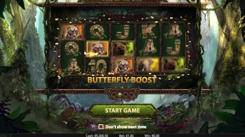 Spirit of the Forest