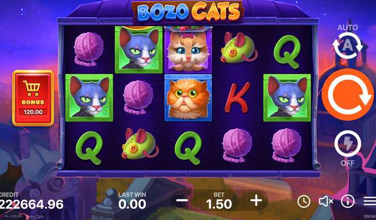 Bozo Cats