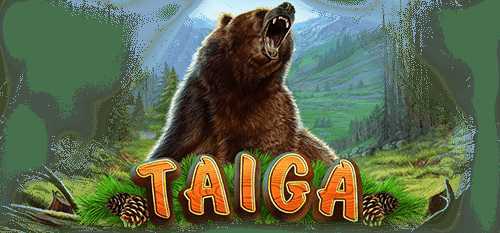 Taiga