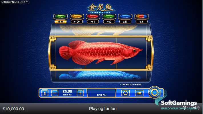 Arowanas Luck