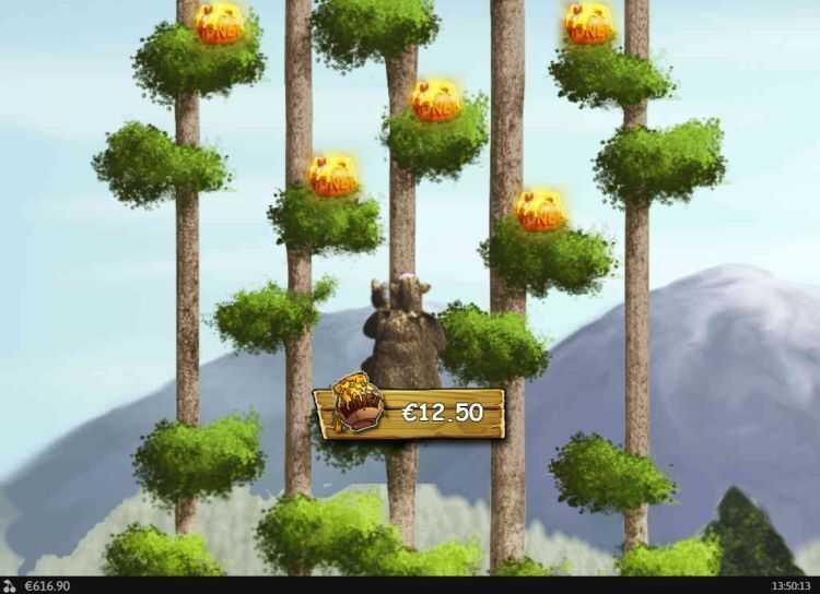 Bonus Bears Bonus Bears