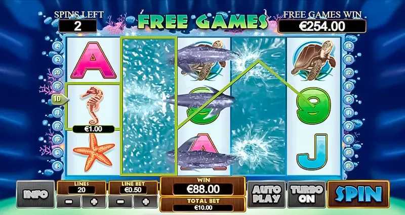 Dolphin Reef