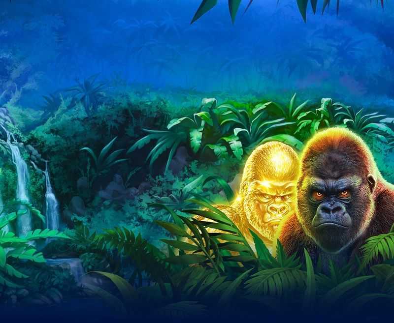 Epic Ape 2