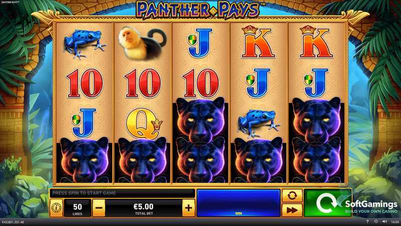 Panther Pays
