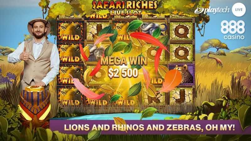Safari Riches Live