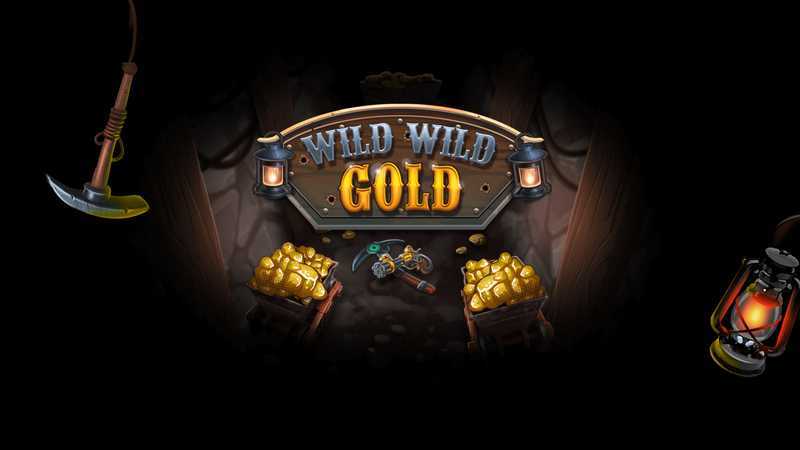 Wild Wild Gold