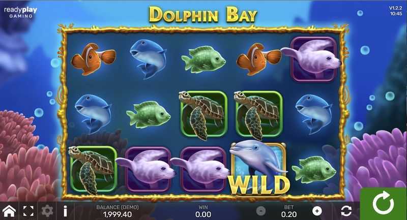 Dolphin Bay