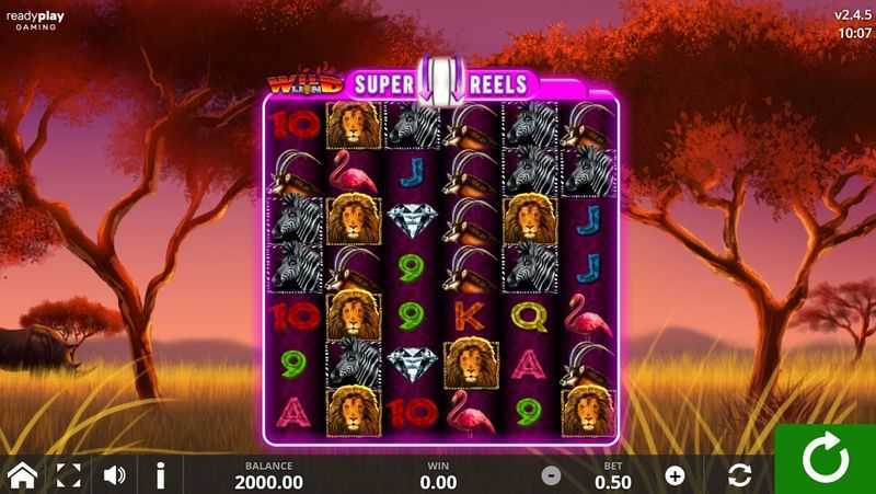 Wild Lion Super Reels