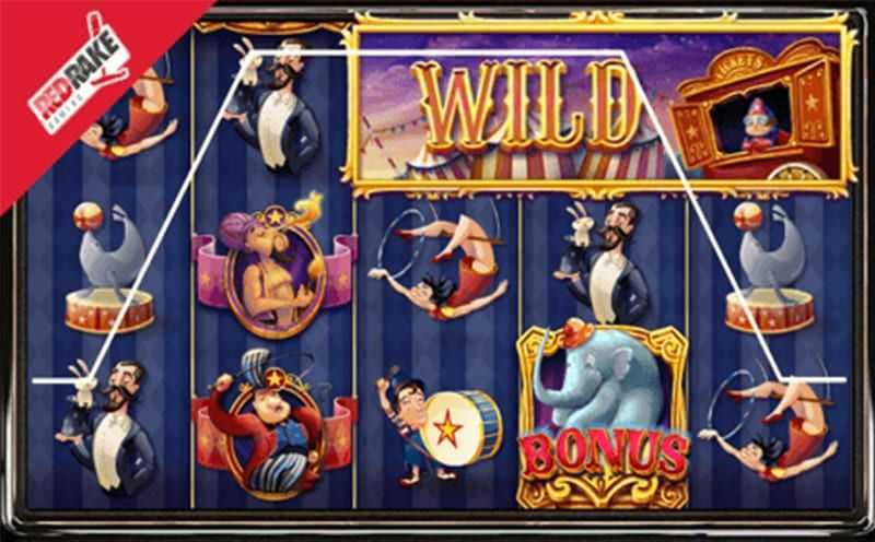 Circus Wonder