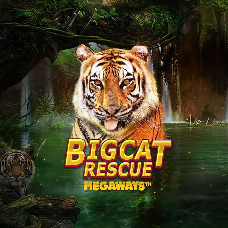 Big Cat Rescue Megaways