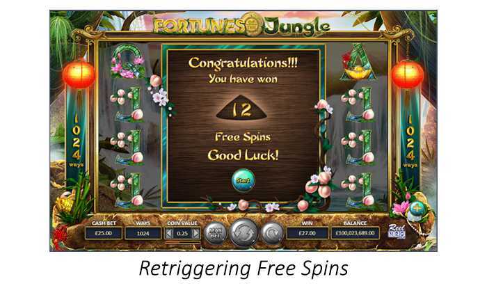 Fortunes of the Jungle
