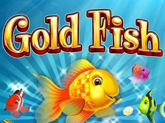 Wild Gold Fish