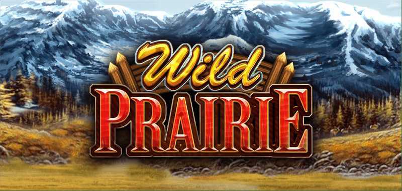 Wild Prairie