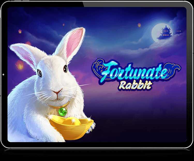 Fortunate Rabbit