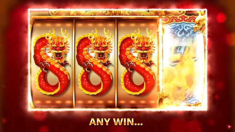 Dragon 8s 25x