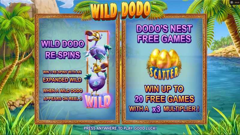 Wild Dodo