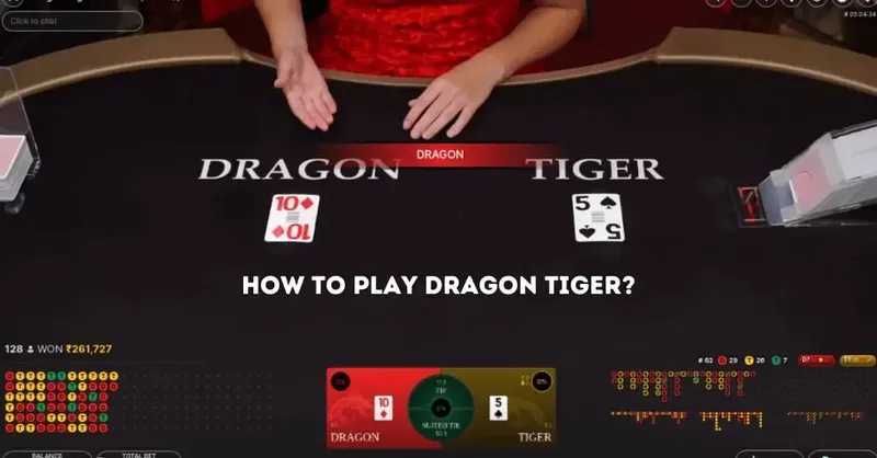 Dragon 8