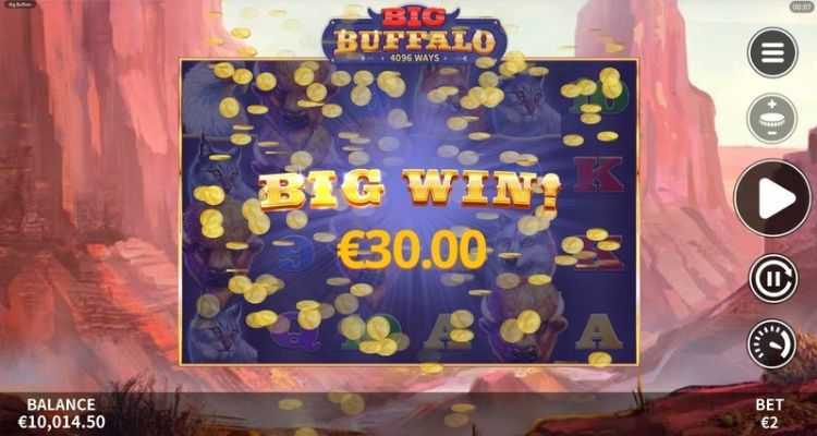 Big Buffalo Big Buffalo