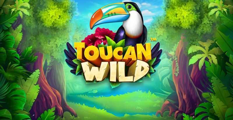 Toucan Wild