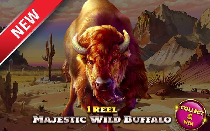 1 Reel Hawaiian Bliss