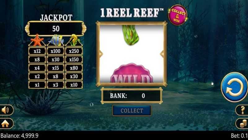 1 Reel Reef