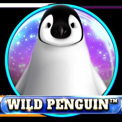 Wild Penguin