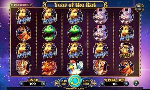 Year of the Rat
