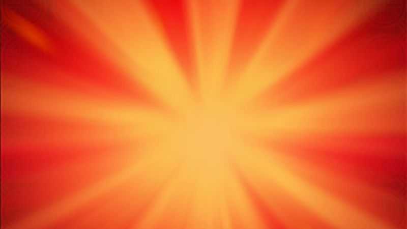 Fortune Tree Wonders