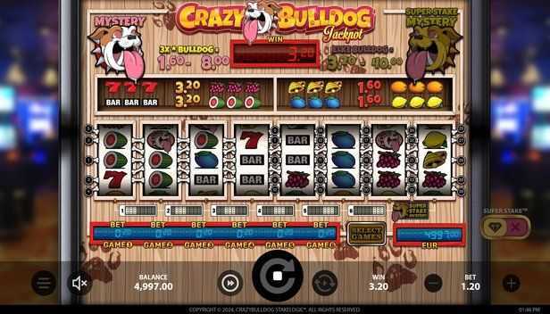 Crazy Bulldog