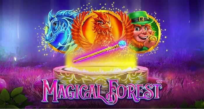 Magical Forest Magical Forest