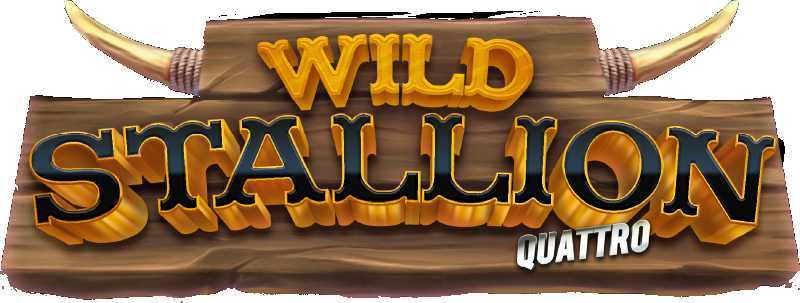 Wild Stallion