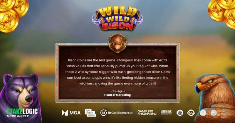 Wild Wild Bison