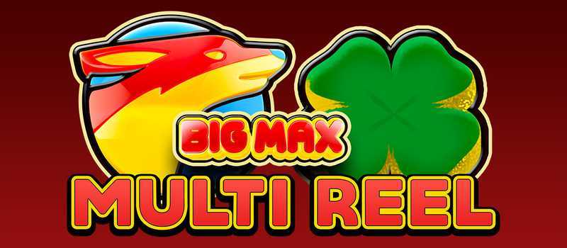 Big Max Multi Reel