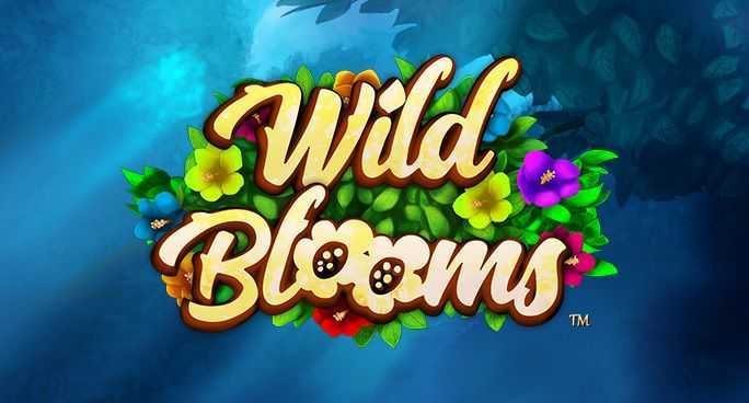 Wild Bloom
