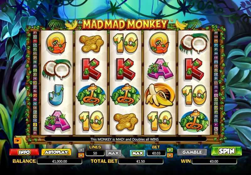 Mad Monkey Mad Monkey