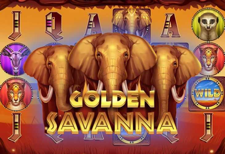 Golden Savanna Golden Savanna